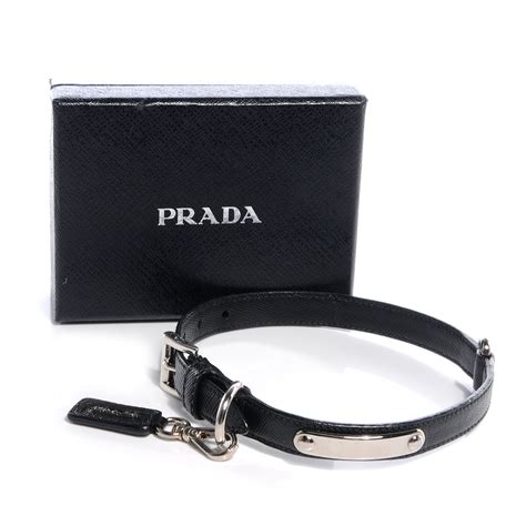 collare cane prada|prada leather dog bag.